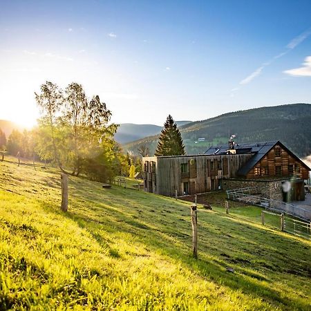 Amenity Hotel & Resort Špindlerŭv Mlýn المظهر الخارجي الصورة