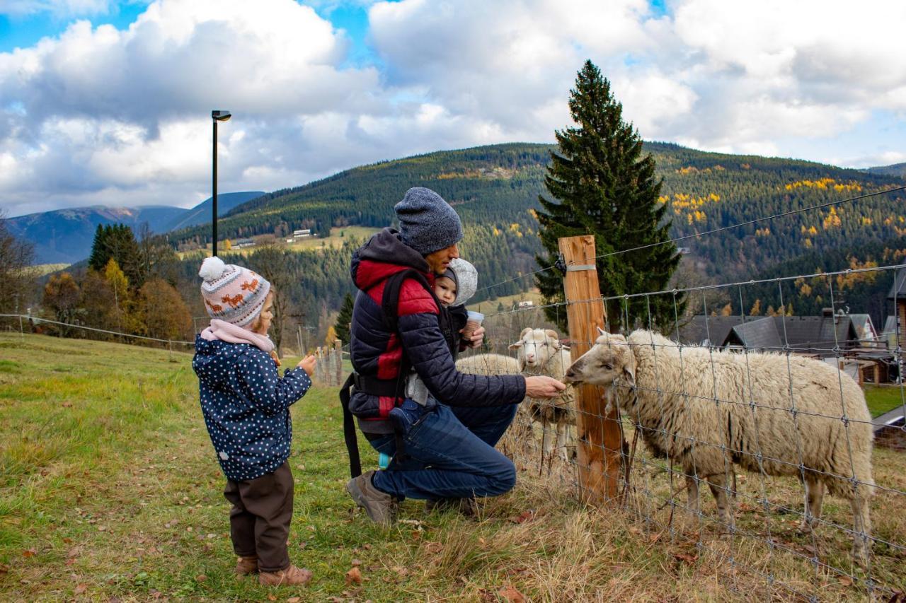 Amenity Hotel & Resort Špindlerŭv Mlýn المظهر الخارجي الصورة