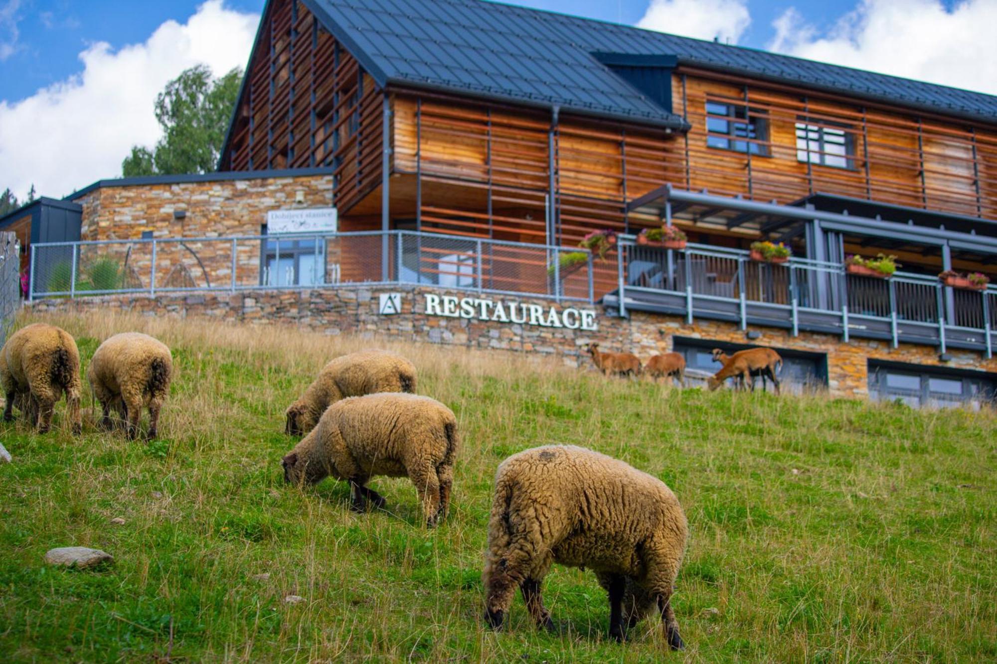 Amenity Hotel & Resort Špindlerŭv Mlýn المظهر الخارجي الصورة