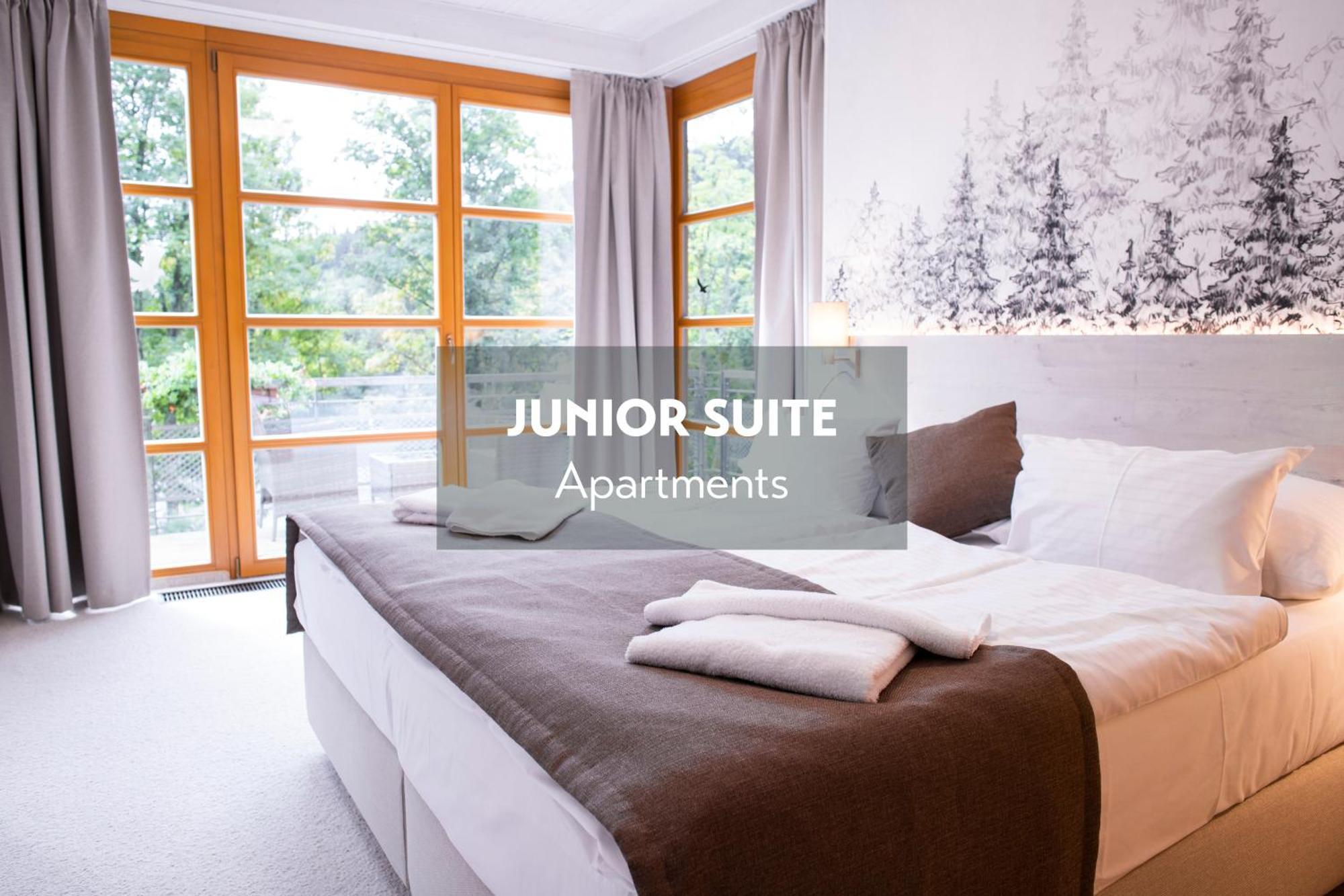 Amenity Hotel & Resort Špindlerŭv Mlýn المظهر الخارجي الصورة